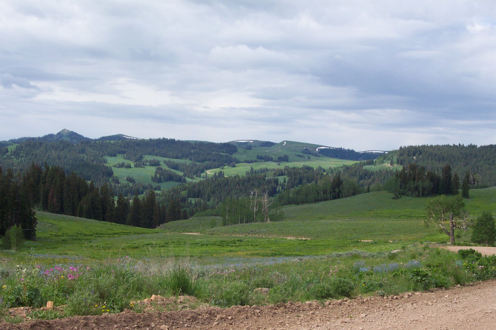 Overlooking the verdant mountain meadows near Wolf Creek Pass ... on way to Current Creek Reservoir in Wasatch County.